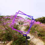 【宮津市滝上公園ツツジ　ドローンAVATA2】