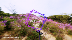 【宮津市滝上公園ツツジ　ドローンAVATA2】